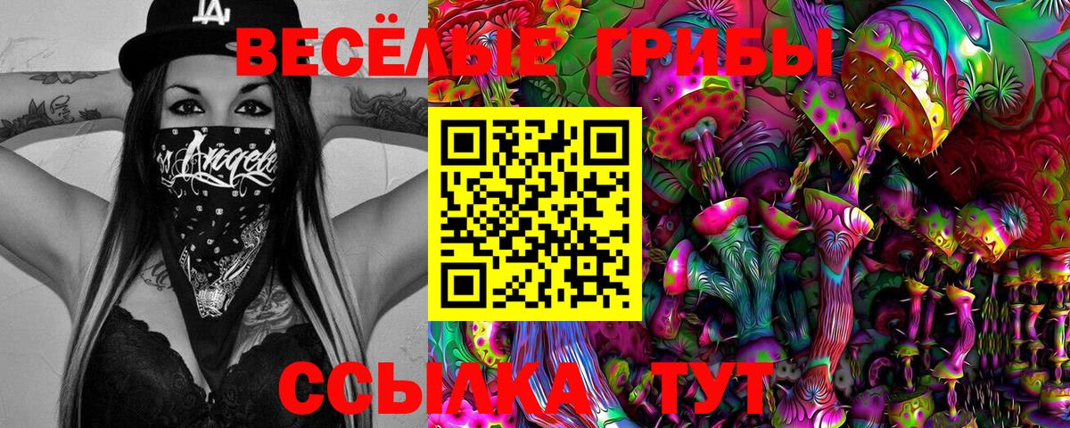даркнет сайт  Галлюциногенные грибы Cubensis  Псилоцибиновые грибы мицелий  Вход с VPN  Белорецк 